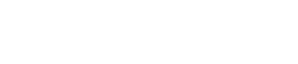TUDI